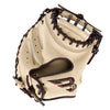 Custom Catcher's Mitt Builder Custom Baseball Glove B45 Baseball 